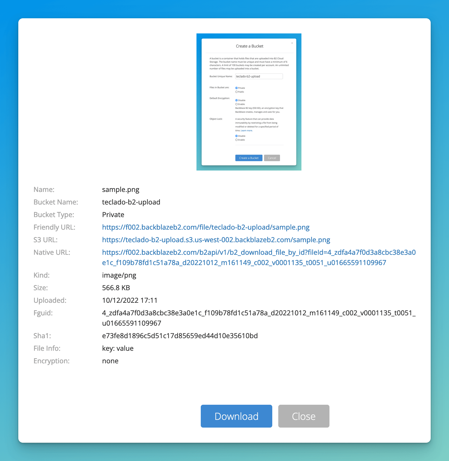 Screenshot showing the image modal window with information about it in B2
